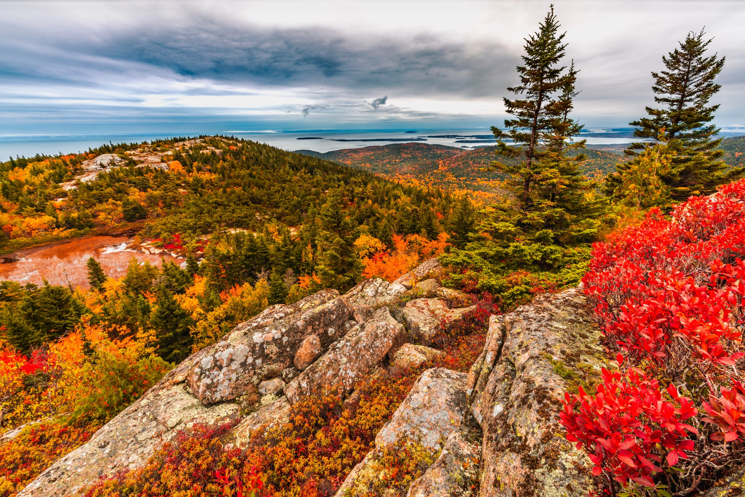Acadia_National_Park,_Maine[1].webp